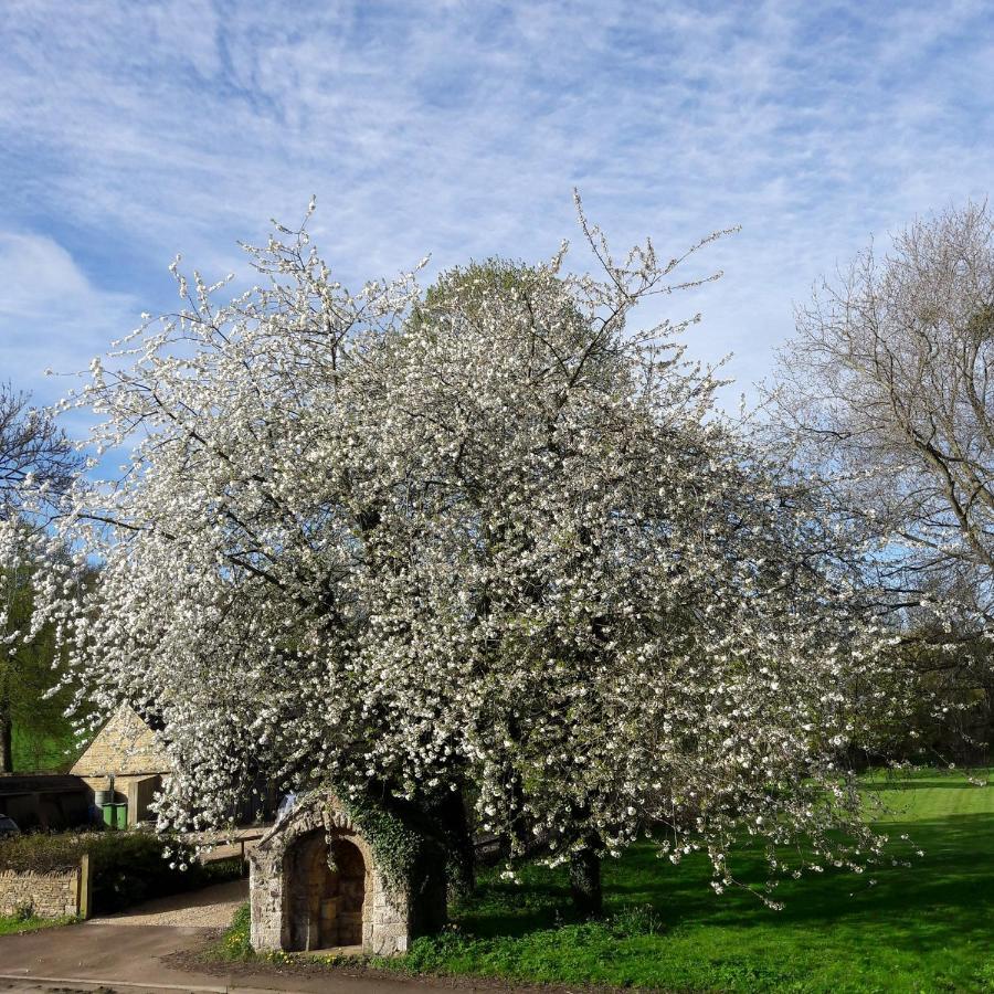 Wayside House B&B Whichford Zewnętrze zdjęcie